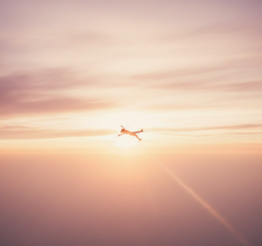 Camera Angles and Scene Lighting Options