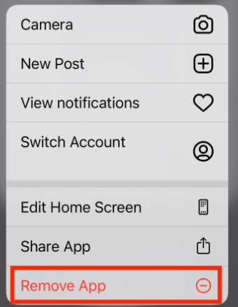 Clear Your Browser on Iphone
