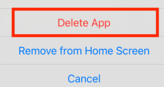 Clear Your Browser on Iphone