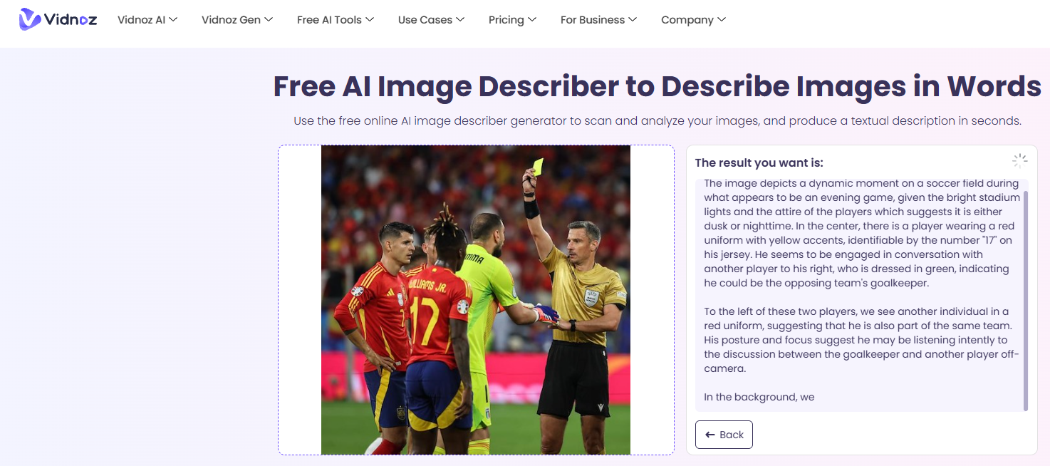 Free Vidnoz AI Image Describer