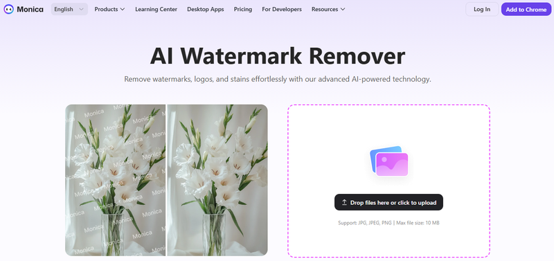 Advanced Ai Watermark Remover Tool