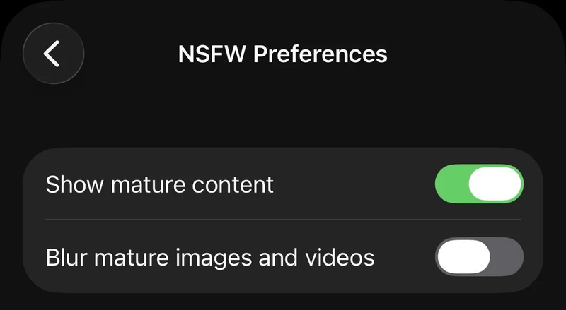 Profile Settings Enable Nsfw Content