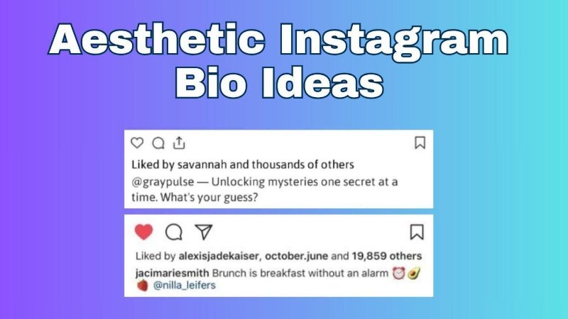 Alt: aesthetic instagram bio ideas