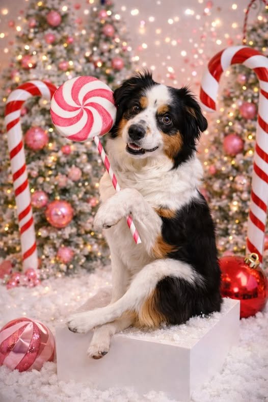 ai candy cane picture dog