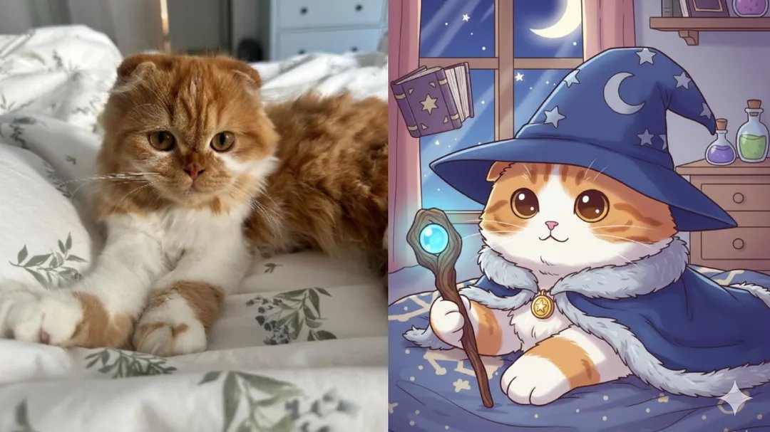 change style of cat image