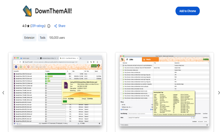DownThemAll! sreenshot
