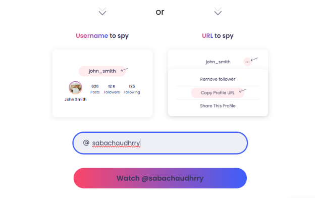 instagram private account viewer