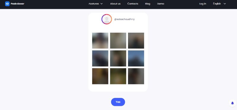 instagram private account viewer
