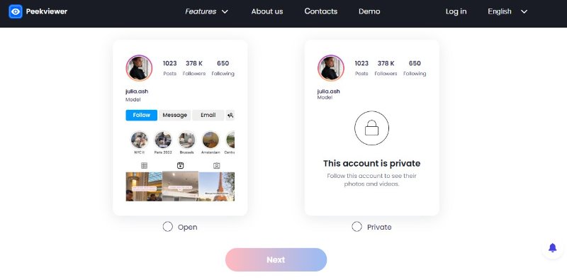instagram stroy viewer