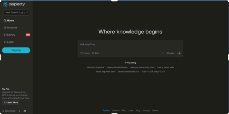 overview-of-perplexity-and-chatgpt