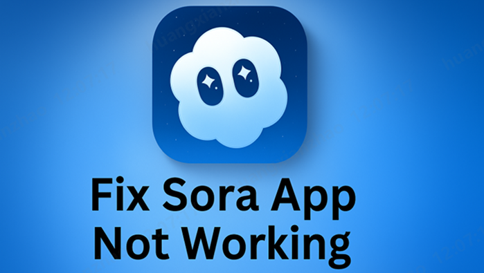 sora app not working
