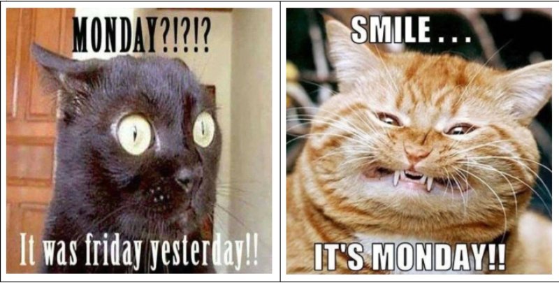 their-expressions-mirror-exactly