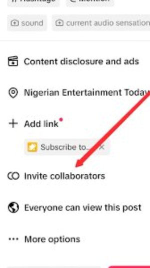 التعاون على TikTok للحصول على الإعجابات