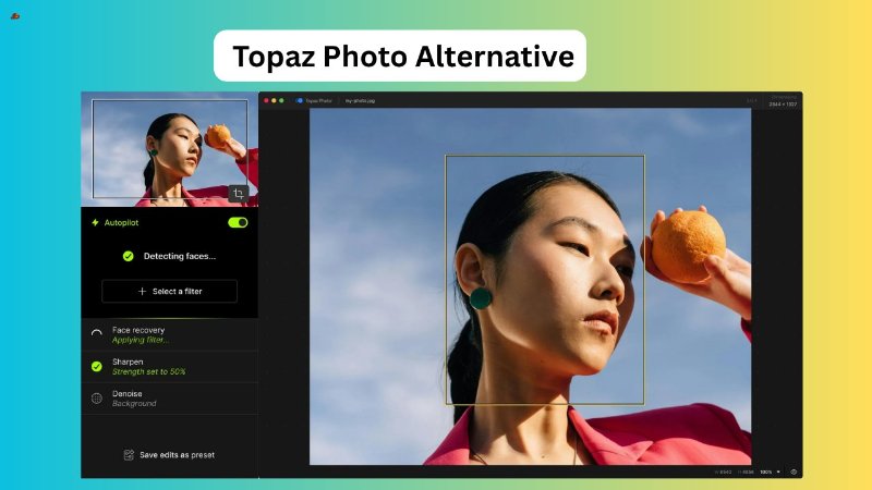 Topaz Photo Alternative for Beginners and Professionals