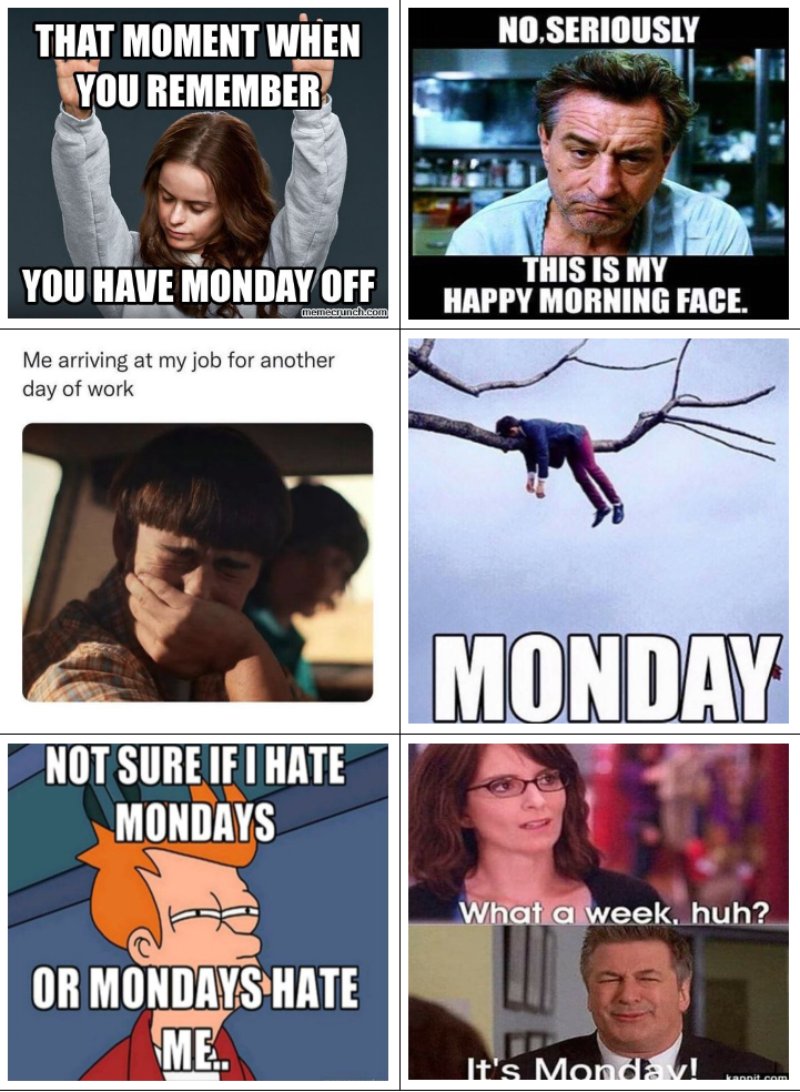 these-are-the-dark-horse-of-monday