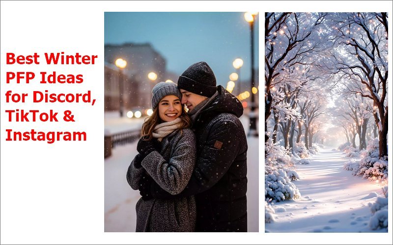 Alt" Winter PFP ideas"