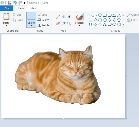 how to make background transparent in paint step 5