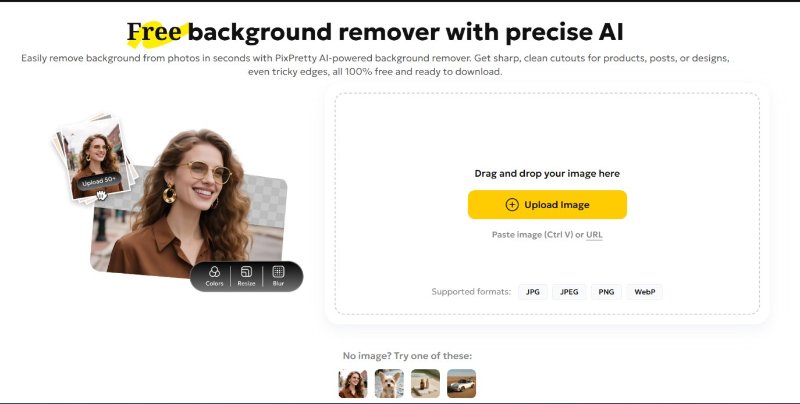 1단계: PixPretty 배경 제거기 방문