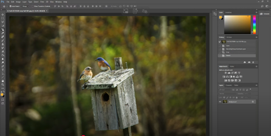 crop images on mac photoshop