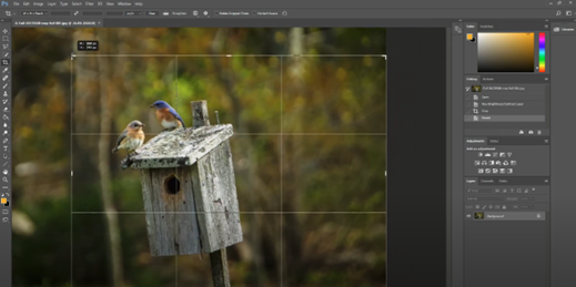 crop images on mac photoshop