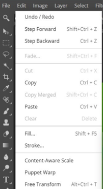 editing in free transform