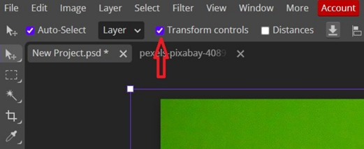 free transform controls