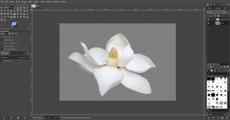GIMP Fuzzy Select tool removing solid background