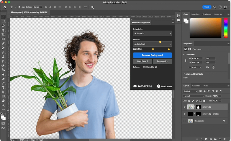 GIMP image with background automatically removed by plugin