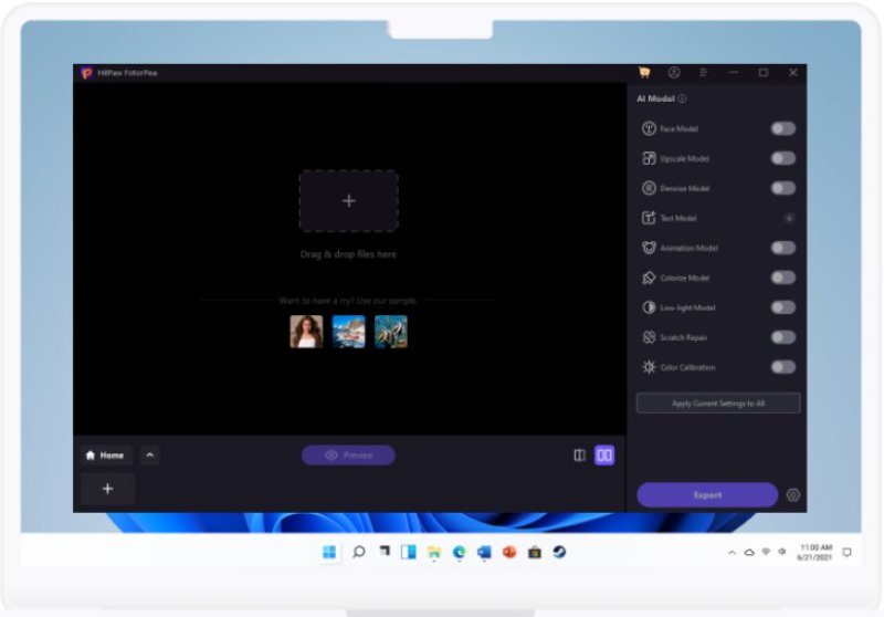 ​Alt: HitPaw Main Interface