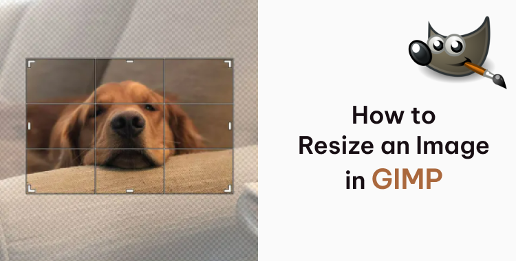 how to resize an image in gimp