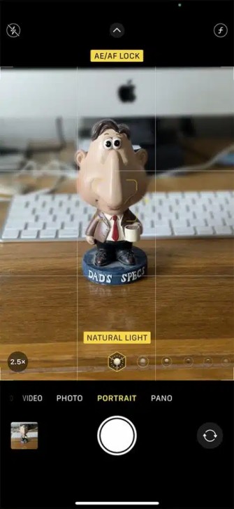 iPhone Portrait mode camera interface with depth guidance