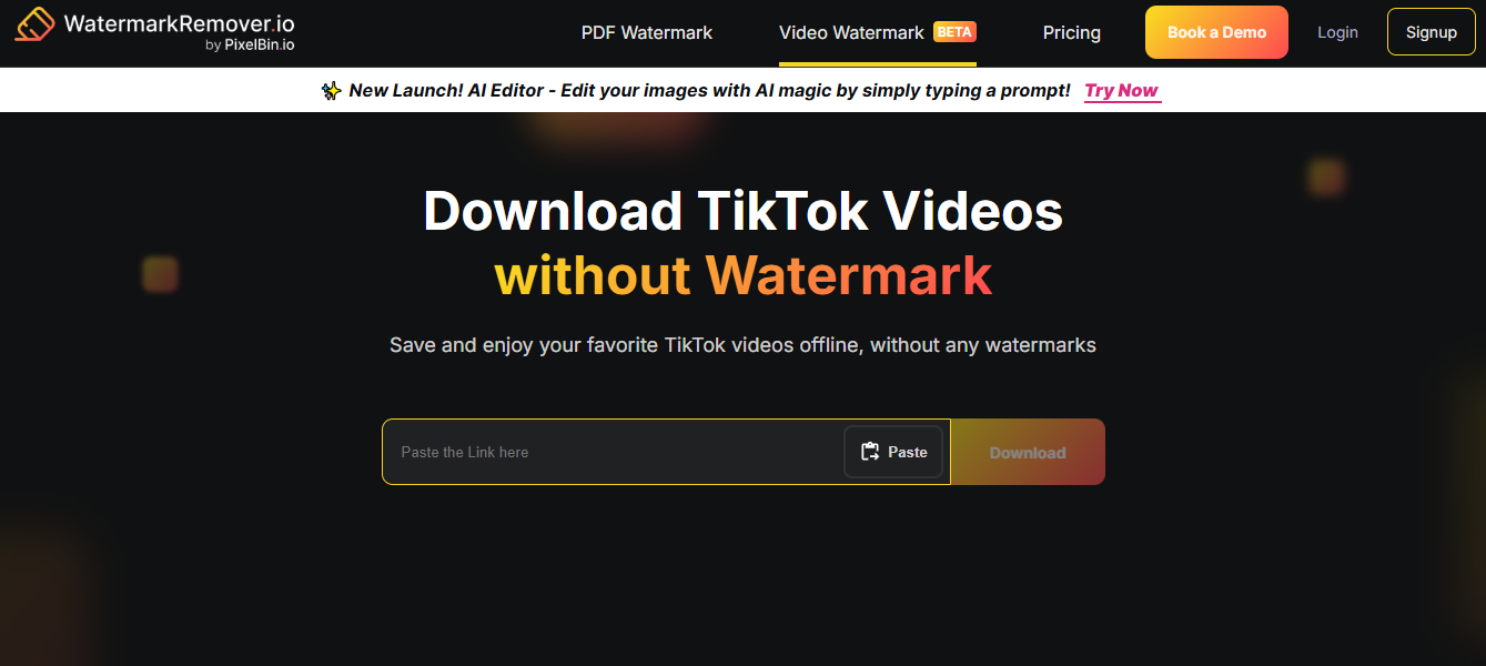 Online TikTok watermark remover tool homepage