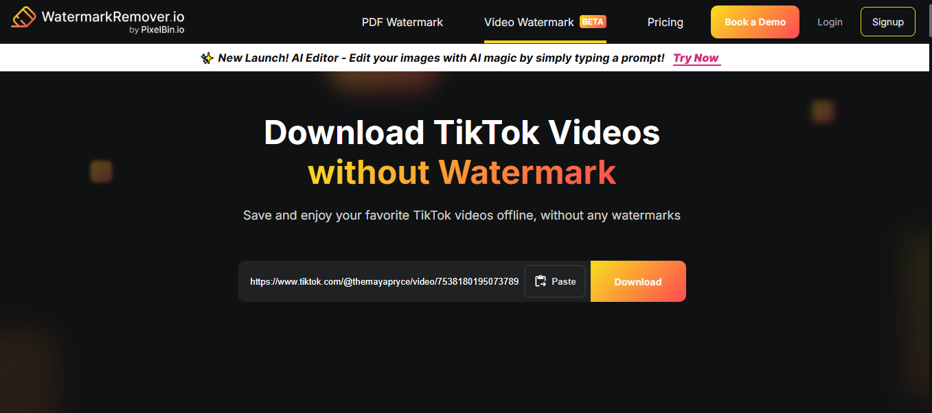 Paste TikTok URL into watermark remover input field