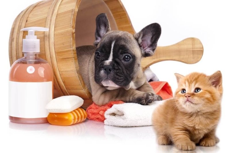 pet products