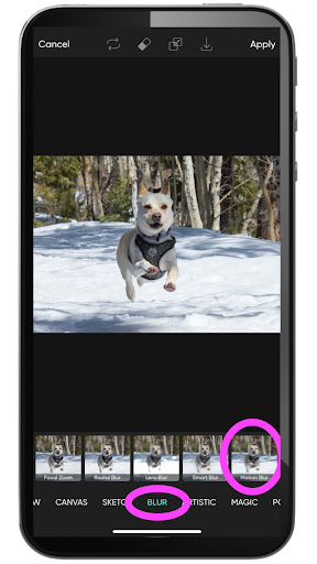 Picsart blur effects menu with multiple blur styles