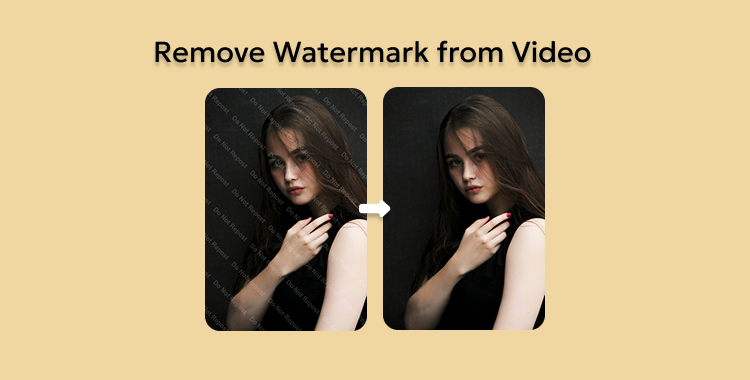 remove watermark from video