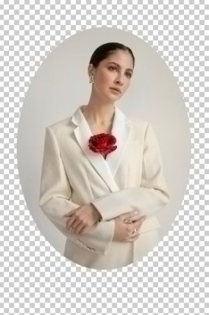 select-main-image-layer, alt:select main image layer 