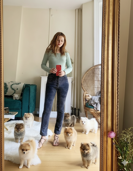 Gemini will output your new AI puppy picture