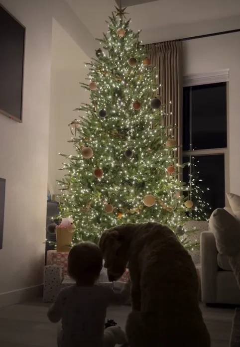  Preserve all facial features, proportions, and clothing