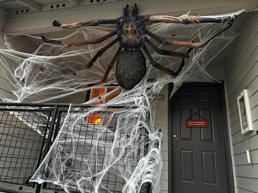 halloween decorations ideas