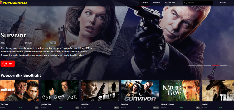 Popcornflix: Survivor (2015)