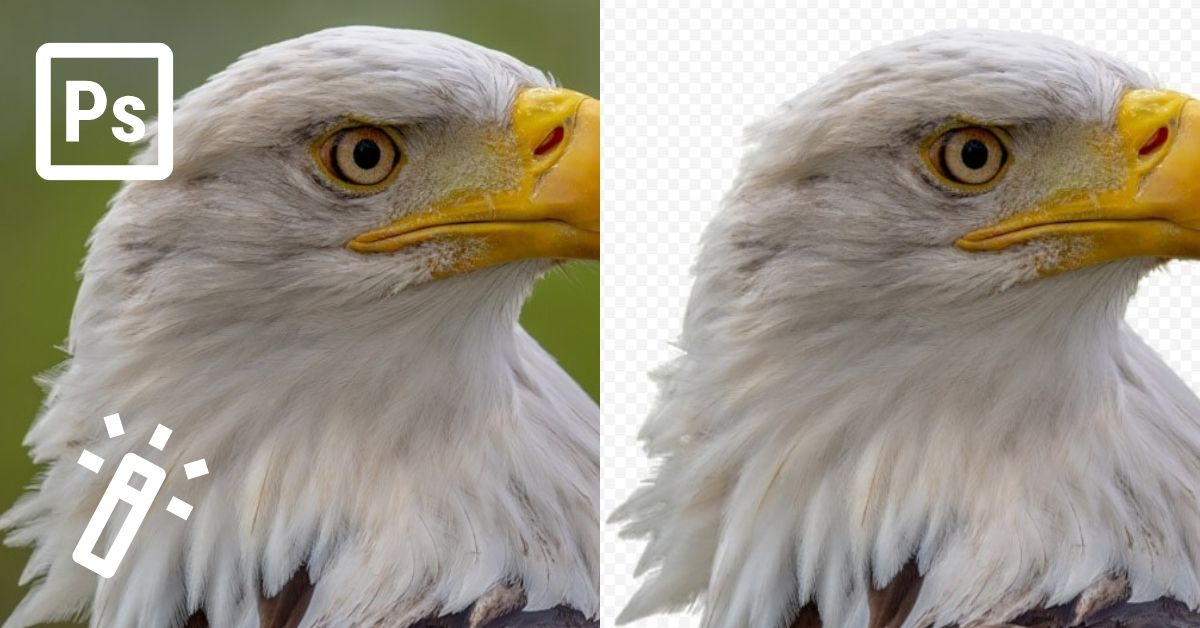 Photoshop Logo Background Remover