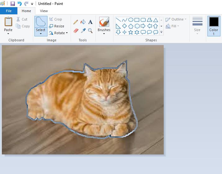 how to make background transparent in paint step 3