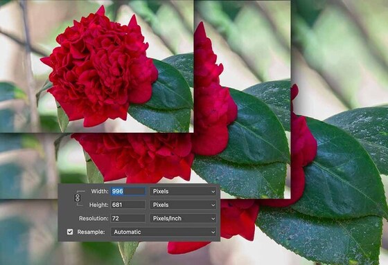 resize images