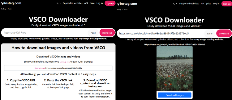Instag VSCO Photo Downloader