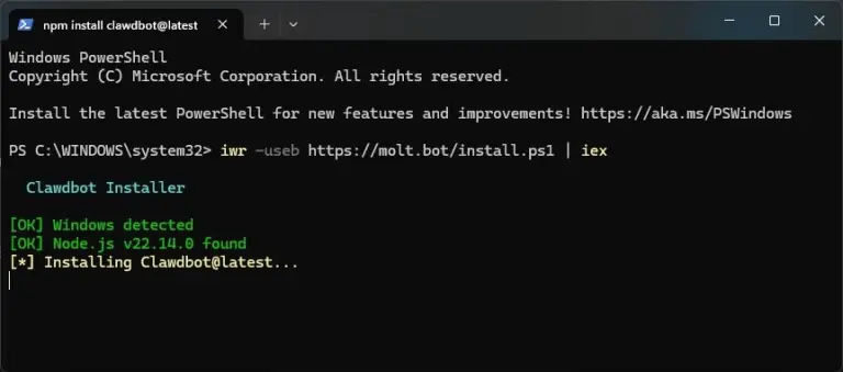 Moltbot/openclaw Download and Install