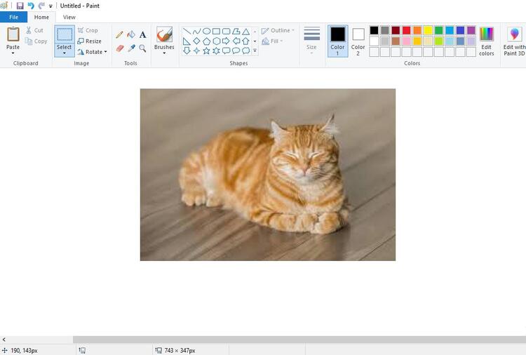 how to make background transparent in paint step 1
