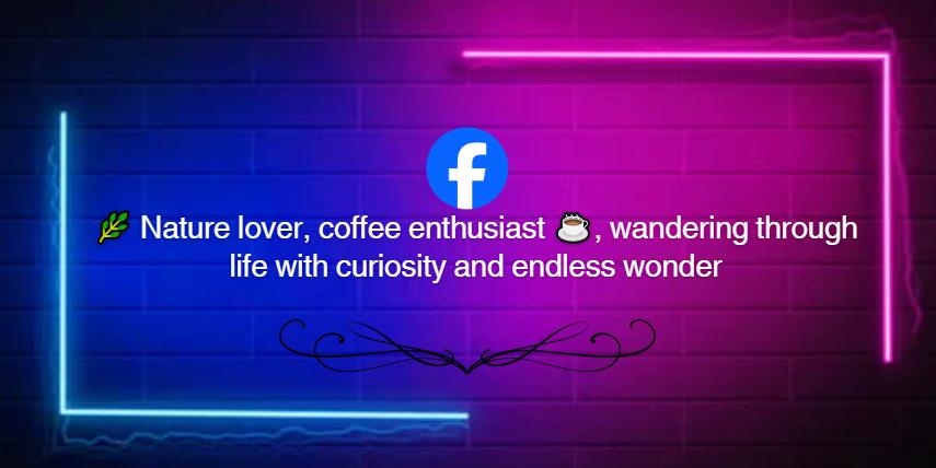 Aesthetic facebook bios for boys