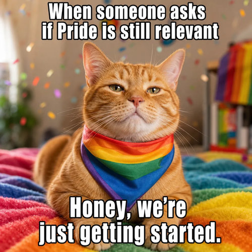 Supportive Pride Month Meme