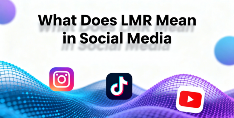 what does lmr mean